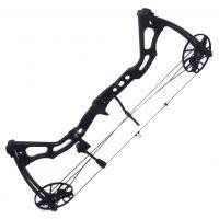 Арбалети та луки