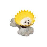 Ветеринарные воротники для животных