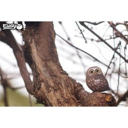 Пазл Eugy 3D Зоопарк Сова (XEG-044)