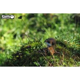 Пазл Eugy 3D Зоопарк Сурикат (XEG-046)