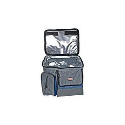 Термосумка Thermos К2 13 (161966)