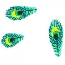 Развивающая игрушка Djeco Пиполо (DJ05108)