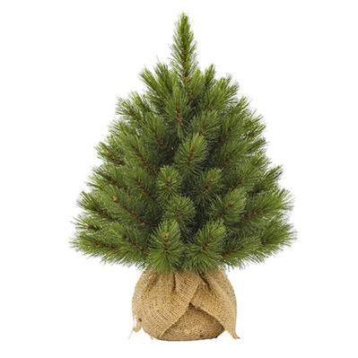 Искусственная сосна Triumph Tree Forest Frosted зеленая 0,45 м (8712799955837)