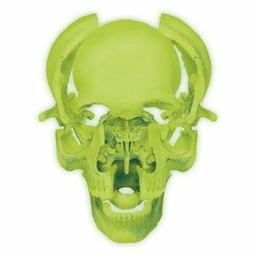 Пазл 4D Master Объемная анатомическая модель Череп человека светящийся (FM-626113)