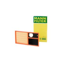 Воздушный фильтр для автомобиля Mann C3880