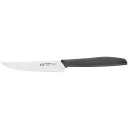 Кухонный нож Due Cigni 1896 Steak Knife 105 mm (1003 PP)