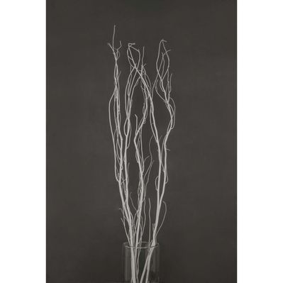 Декоративна гілка YES! Fun Гілка біла, 120 см (973448)