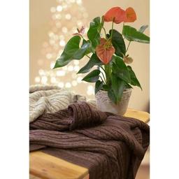 Плед Прованс Soft косы Моко 90x130 см (11692)