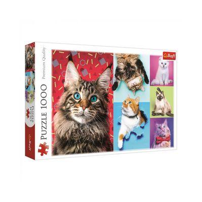 Пазл Trefl Веселые коты, 1000 элементов (6336395)