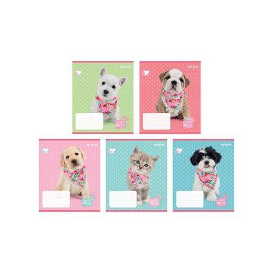 Тетрадь Kite Studio Pets, 12 листов, линия (SP22-234)
