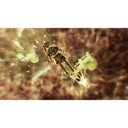 Гра Nintendo Switch Xenoblade Chronicles 3 (0045496478292)