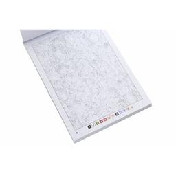 Книга 50 магічних фарбованок. Манґа Жорж (9786177853397)