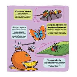 Книга Маленькі дослідники. Комашки Книголав (9786177563845)
