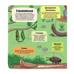 Книга Маленькі дослідники. Комашки Книголав (9786177563845)