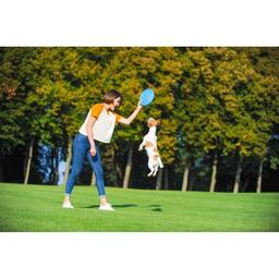 Игрушка для собак Collar PitchDog тарелка для апорта d:24 см розовая (62477)