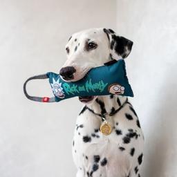 Игрушка для собак WAUDOG Fun "Рик и Морти 1" с пищалкой S (629-0280)