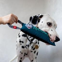 Игрушка для собак WAUDOG Fun "Рик и Морти 1" с пищалкой S (629-0280)