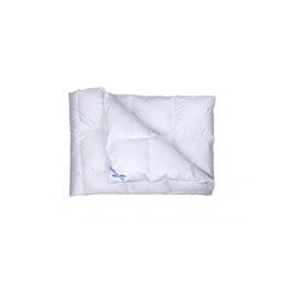 Одеяло Billerbeck пуховое Аделия К0 200х220 (0590-20/03)