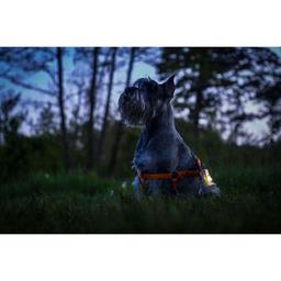 Фонарь Armytek Zippy Yellow (F06001Y)