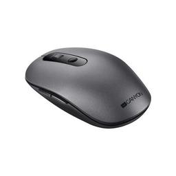 Мышка Canyon MW-9 Silent Wireless Gray (CNS-CMSW09DG)