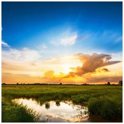 Цифровая видеокамера Panasonic HC-X2 (HC-X2EE)