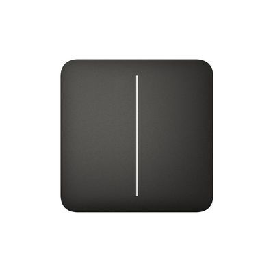 Розумний вимикач Ajax SoloButton 2-gang чорна