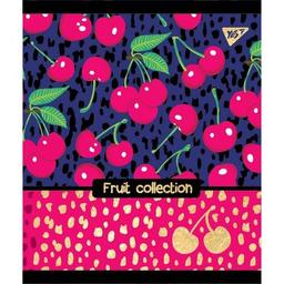 Зошит Yes Fructis 48 аркушів, лінія (765292)