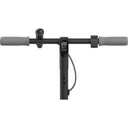 Электросамокат Segway Ninebot F25E II Black (AA.00.0013.06)