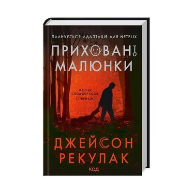 Книга Приховані малюнки - Джейсон Рекулак КСД (9786171298217)