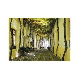 Пазл Piatnik Андалузская аллея, 1000 элементов (PT-558344)