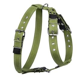 Шлея для собак Collar для великих собак N2 68-91 см зелена (0646)