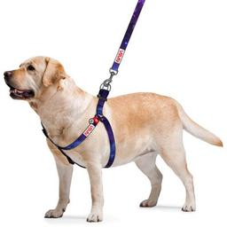 Шлей для собак WAUDOG Nylon с QR-паспортом "NASA21" L (4802-0148)