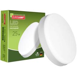 Светильник Eurolamp GL 25W 5000K (LED-NLR-25/5)