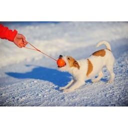 Игрушка для собак Liker Line Мячик с лентой 5 см (6286)