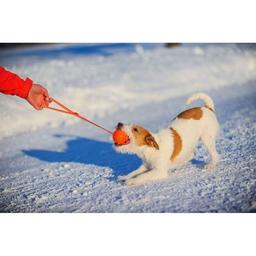 Игрушка для собак Liker Line Мячик с лентой 5 см (6286)