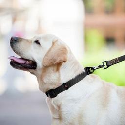 Поводок для собак Evolutor 300 см 25 мм черный (42131)