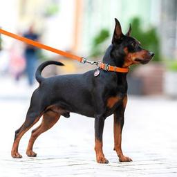 Поводок для собак WAUDOG Waterproof M Ш 20 мм Д 305 см оранжевый (27364)