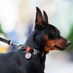 Поводок для собак WAUDOG Waterproof M Ш 20 мм Д 305 см черный (27361)