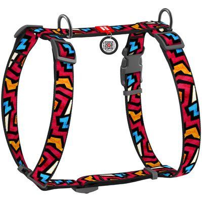 Шлей для собак WAUDOG Nylon с QR паспортом анатомическая H-образная "Граффити" S (5607)