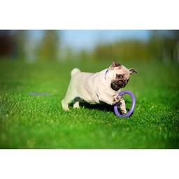 Іграшка для собак Puller Micro 13 см 2шт (6489)