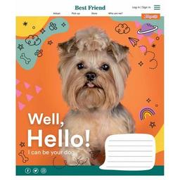 Тетрадь 1 вересня А5 Well, Hello! 36 листов, клетка (766407)