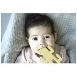 Прорезыватель MinikOiOi Cactus - Pinky Pink (101090002)