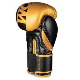Боксерські рукавички Phantom APEX Elastic Gold 14oz (PHBG2215-14)