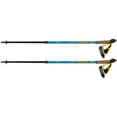 Палиці для скандинавської ходи Vipole Vario Novice Blue/Green (S20 33) (929895)