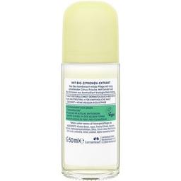 Дезодорант CD Цитрус Кульковий 50 мл (4045612007920)