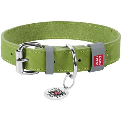 Нашийник для тварин WAUDOG Classic шкіряний 35 мм х 46-60 см салатовий (02395)