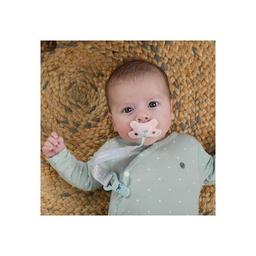 Пустушка Difrax Dentall, 0-6 міс (799 Blossom)