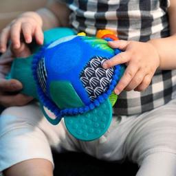Игрушка на коляску Baby Einstein Neptunes Sensory Sidekick (13156)