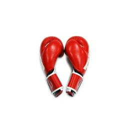 Боксерские перчатки Thor Shark Шкіра 16oz Червоні (8019/02(Leather) RED 16 oz.)