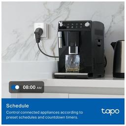 Умная розетка TP-Link Tapo P100M